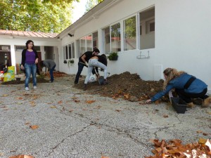 Community Service